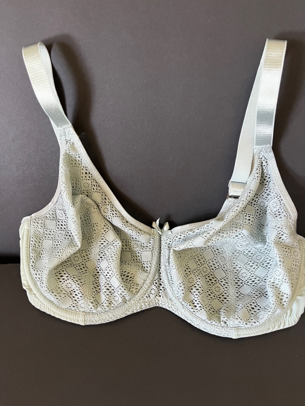 Glamorise Light Mint Lace Underwire Bra